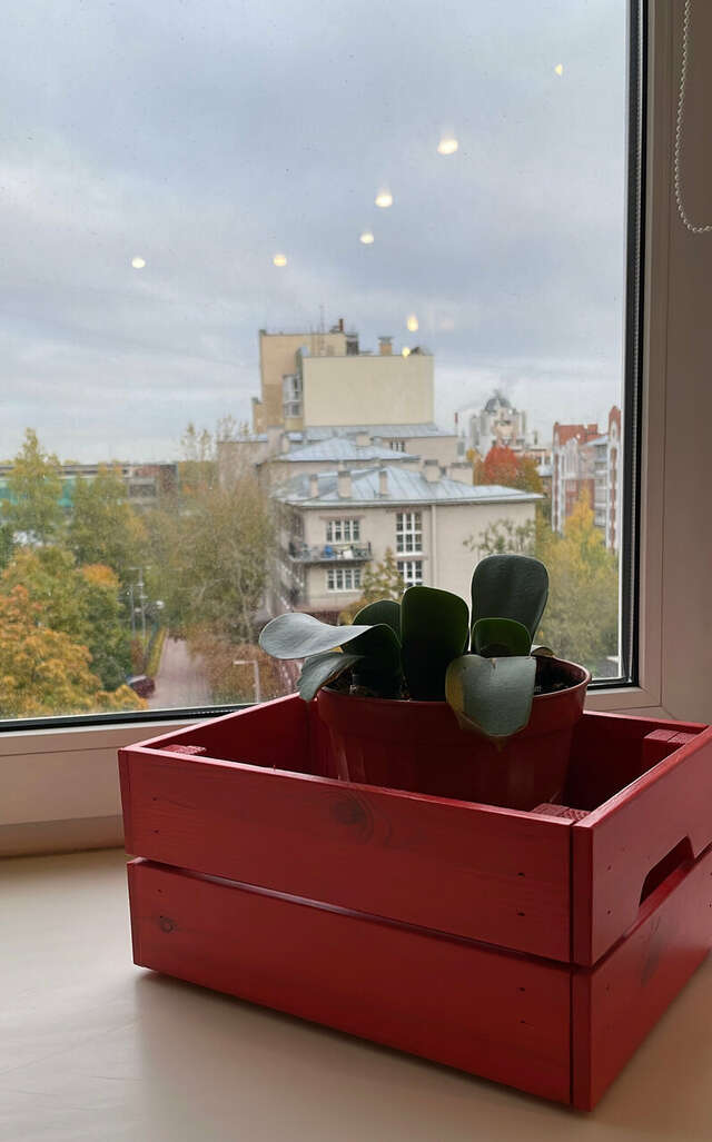 Гостиница Орбита Санкт-Петербург-231